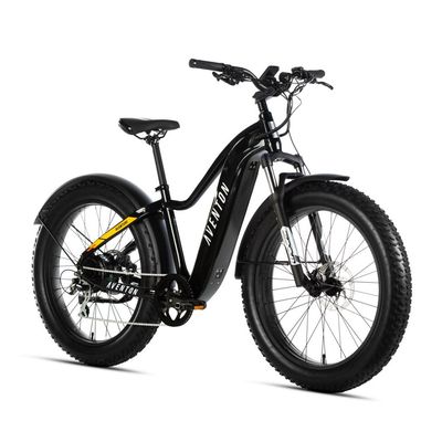 E Bike Sales Rentals Buena Vista Co BV eBIkes